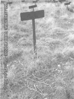 Trancelike Void : What Night Brings...